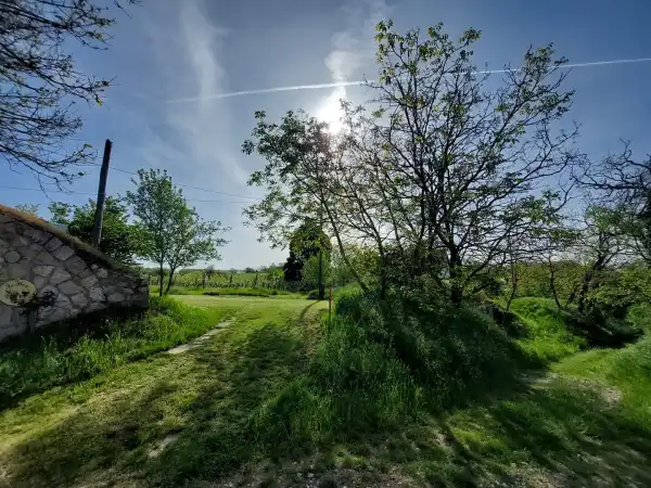 Eladó Szőlős, Ménfőcsanak 2082 m² 15 M Ft