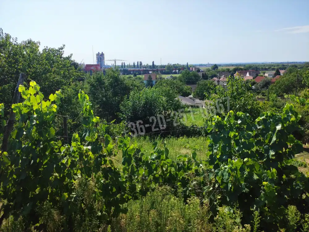 Baranya megye - Mohács