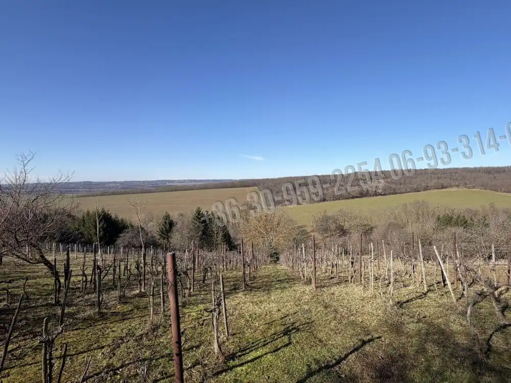 Zala megye - Nagykanizsa