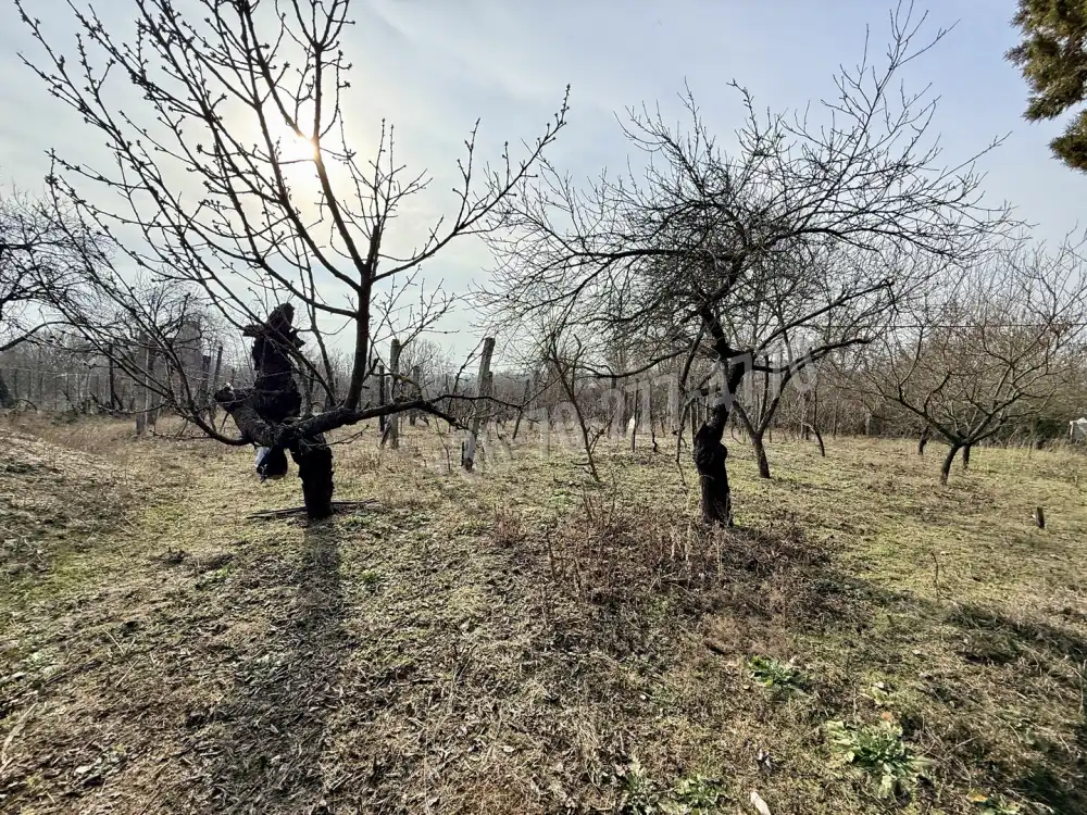 Komárom-Esztergom megye - Oroszlány