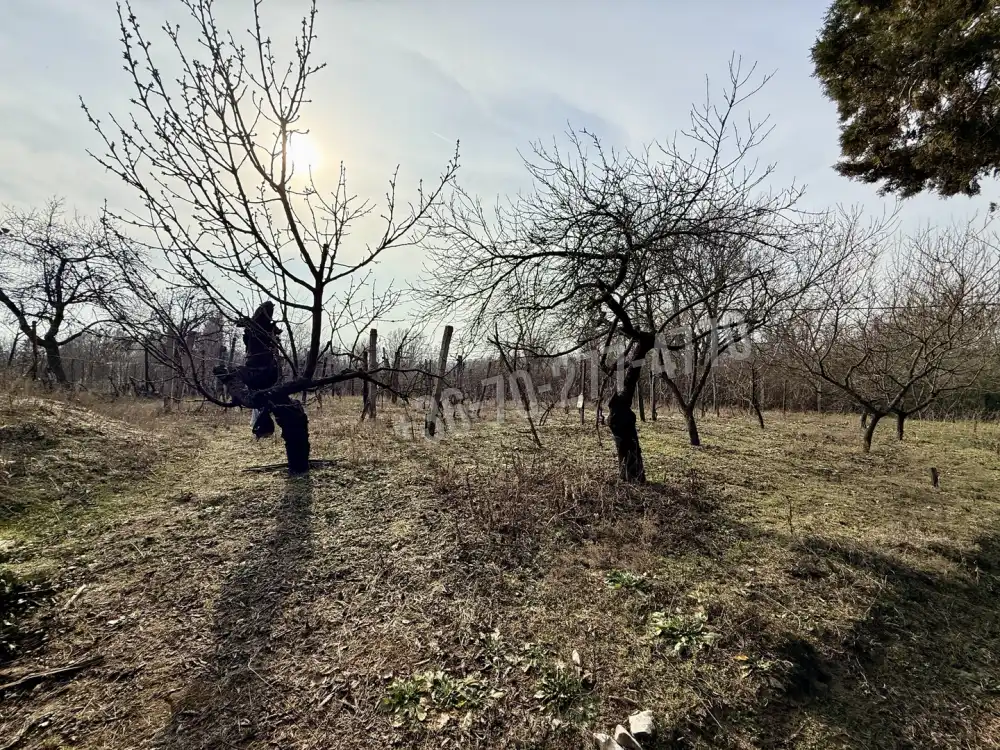 Komárom-Esztergom megye - Oroszlány