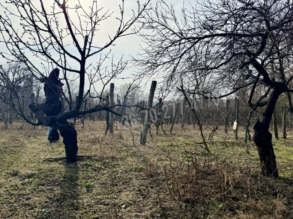 Komárom-Esztergom megye - Oroszlány