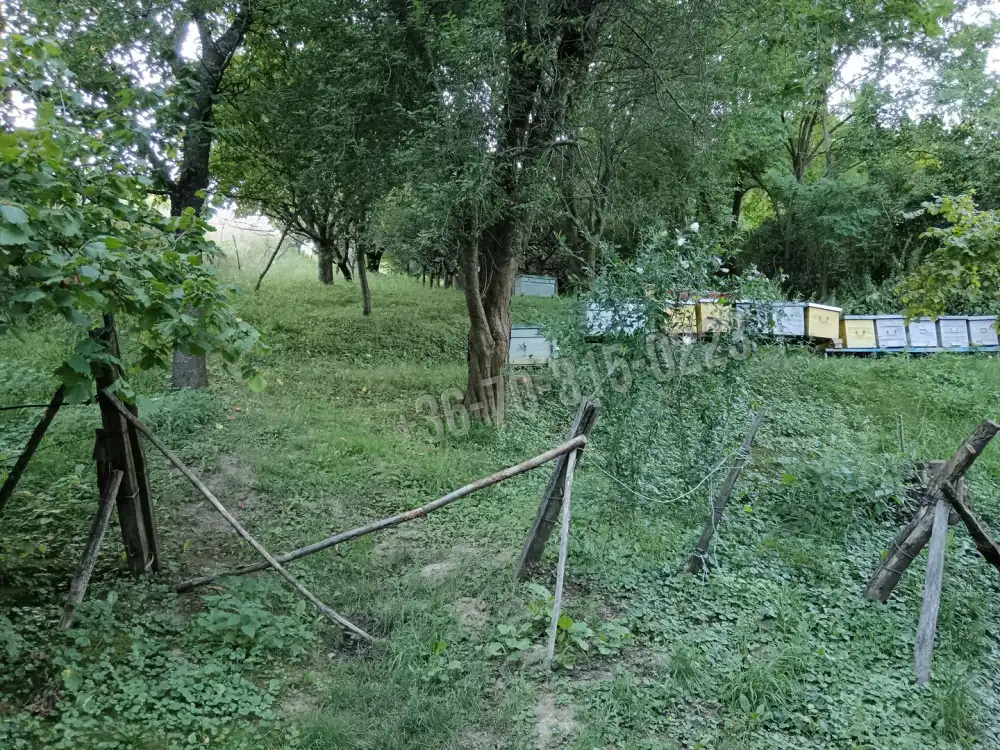 Zala megye - Páka