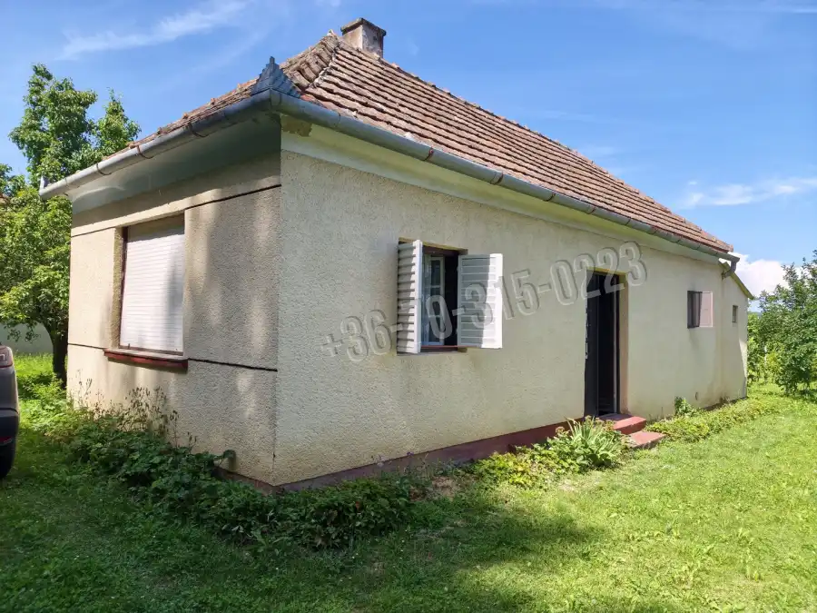 eladó  Szőlős, Rigyác