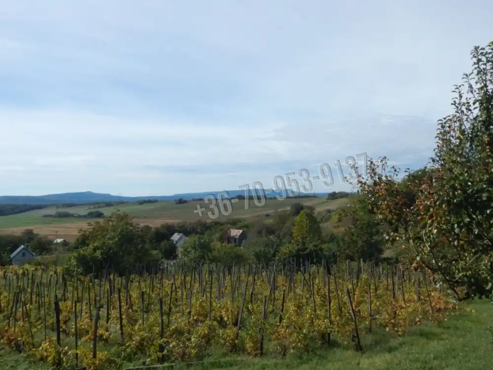 Veszprém megye - Sümeg