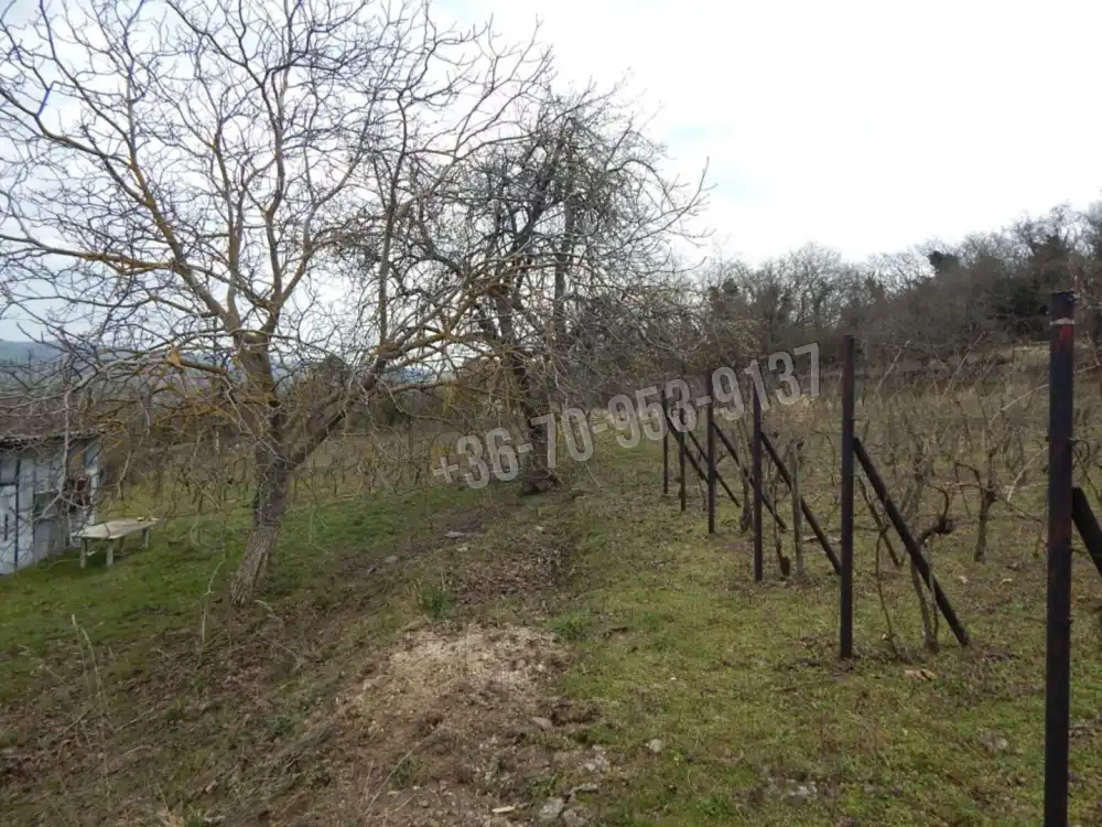 Veszprém megye - Tapolca