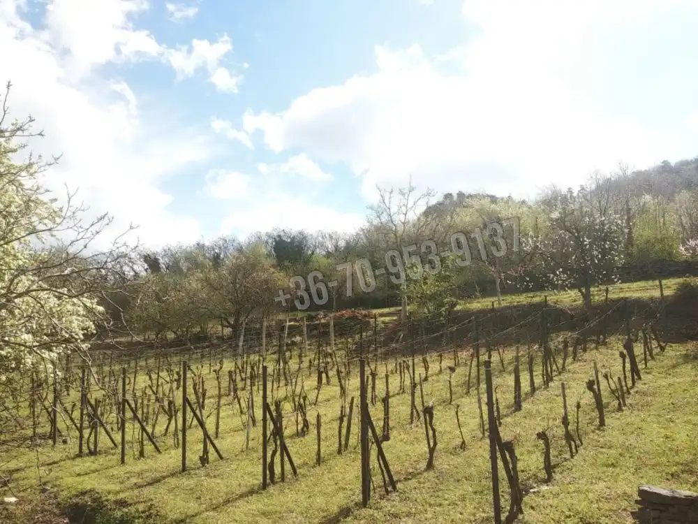 Veszprém megye - Tapolca