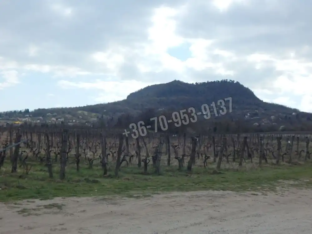 Veszprém megye - Tapolca