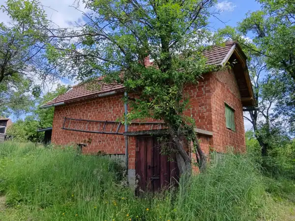 Eladó Szőlős, Tormafölde 1360 m² 2.5 M Ft
