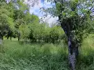 Zala megye - Tormafölde