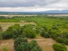 Pest megye - Vác