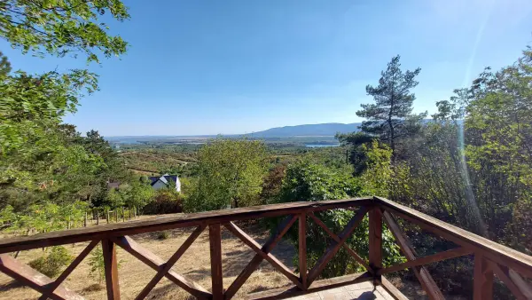 Eladó Szőlős, Vác 770 m² 9.9 M Ft