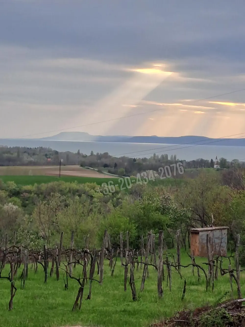 Somogy megye - Zamárdi
