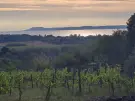 Somogy megye - Zamárdi