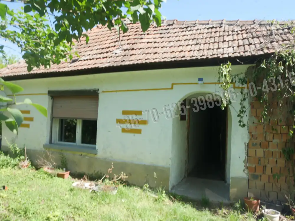 Pest megye - Albertirsa