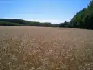 Pest megye - Albertirsa