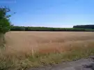 Pest megye - Albertirsa