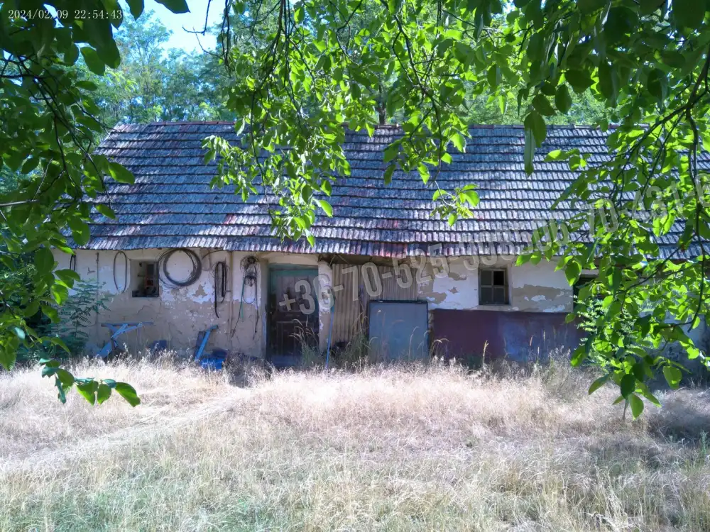 Pest megye - Albertirsa