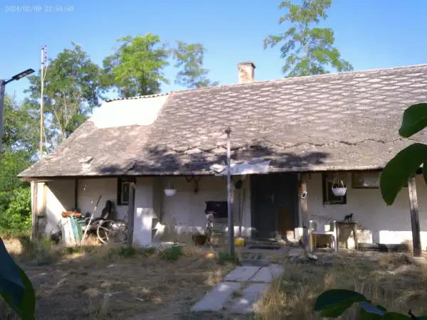 Eladó tanya, Albertirsa 2 szoba 78 m² 9.9 M Ft