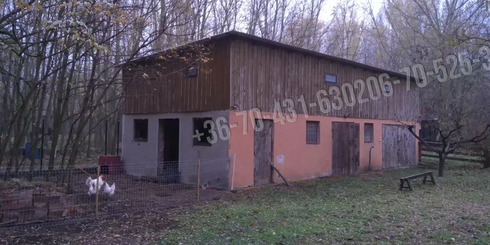 Pest megye - Albertirsa