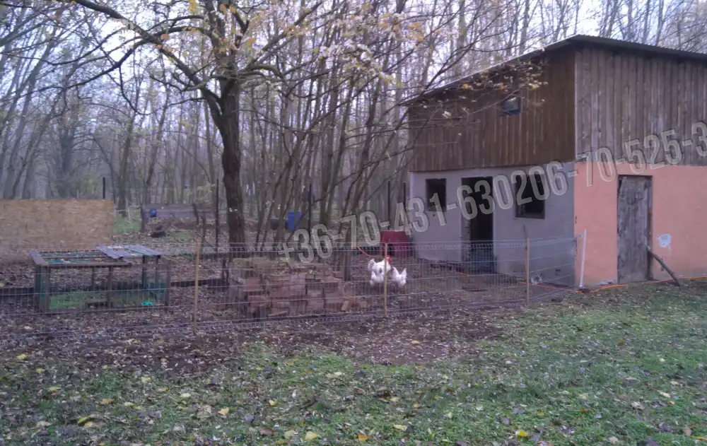 Pest megye - Albertirsa