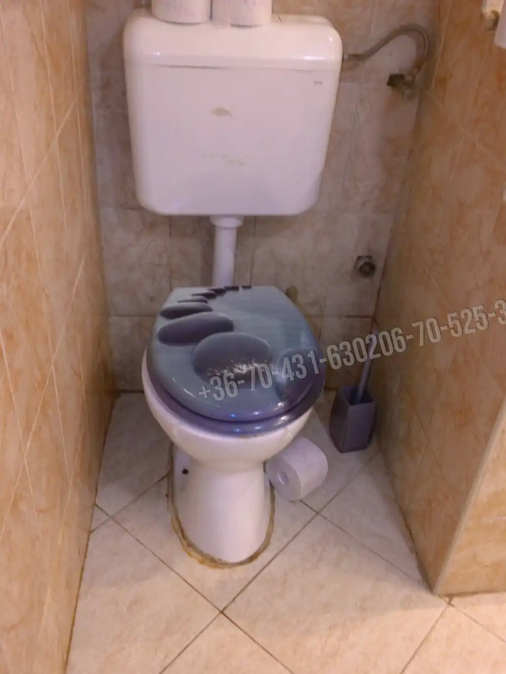 Pest megye - Albertirsa