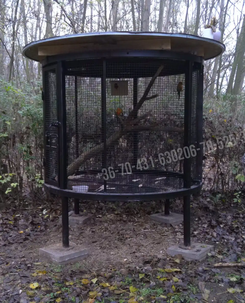 Pest megye - Albertirsa