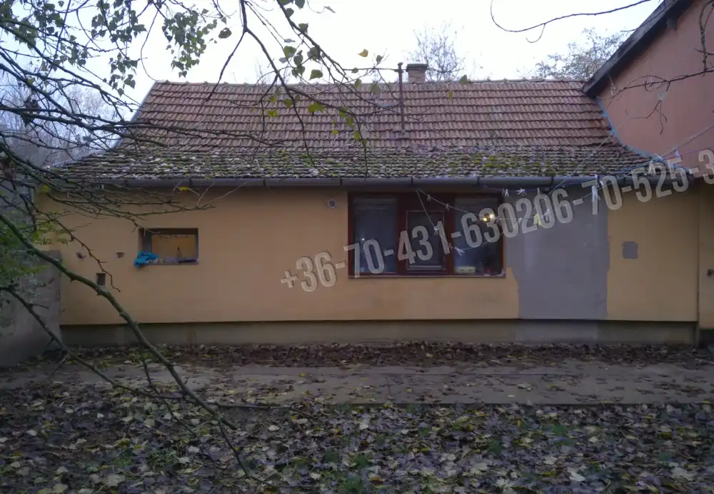 Pest megye - Albertirsa