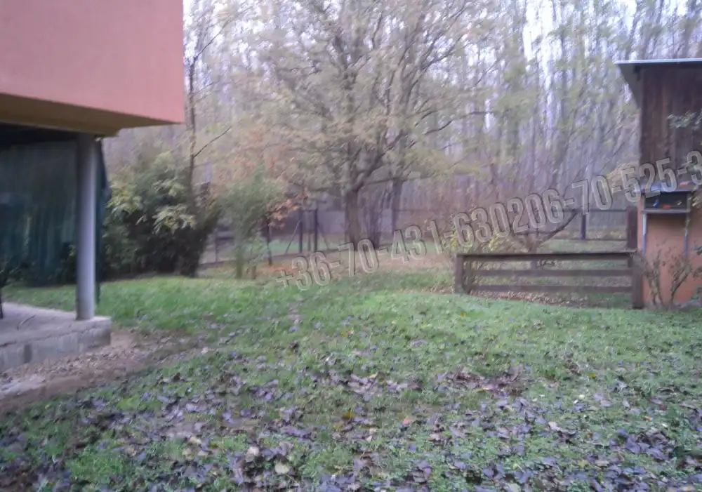 Pest megye - Albertirsa