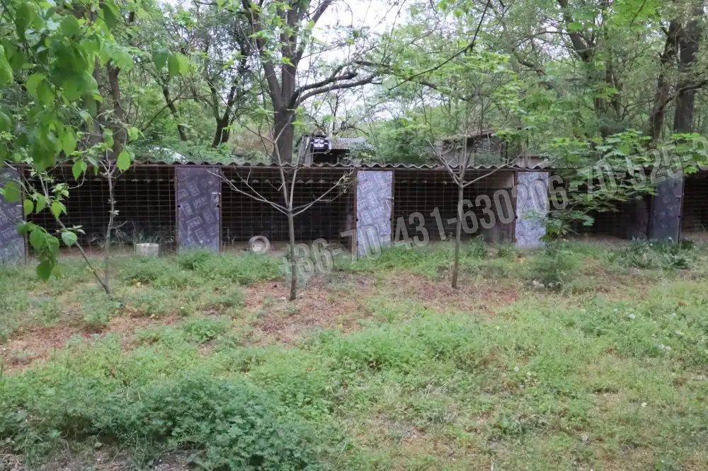 Pest megye - Albertirsa