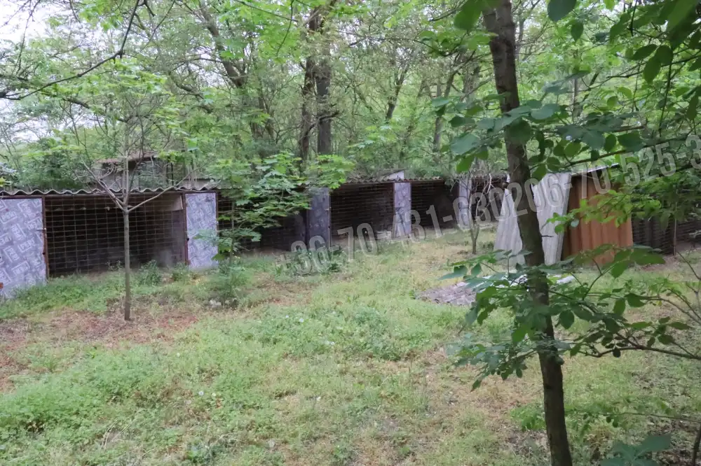 Pest megye - Albertirsa