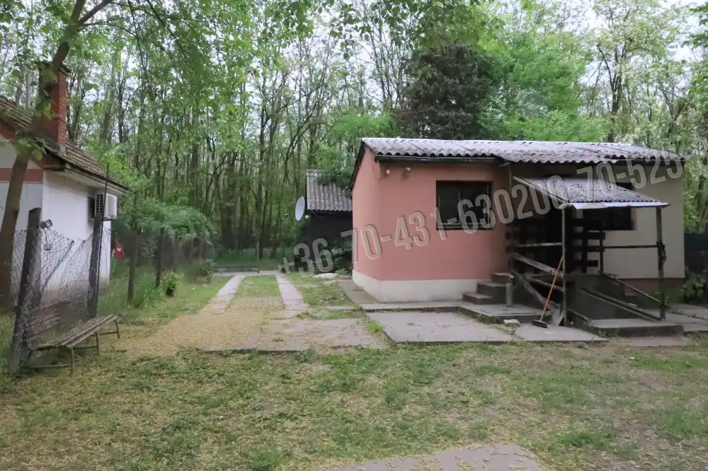 Pest megye - Albertirsa