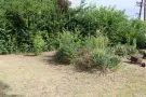 Pest megye - Albertirsa