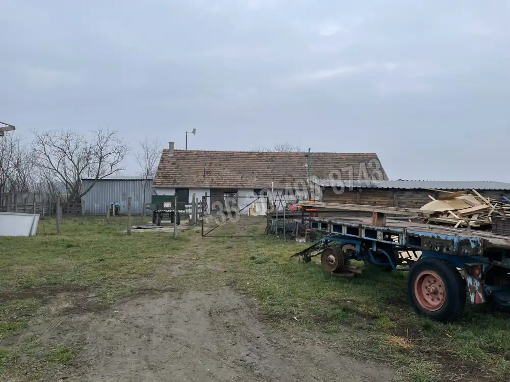 Pest megye - Alsónémedi