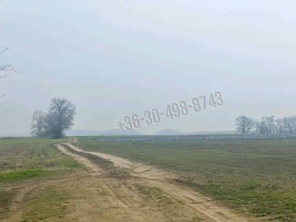 Pest megye - Alsónémedi