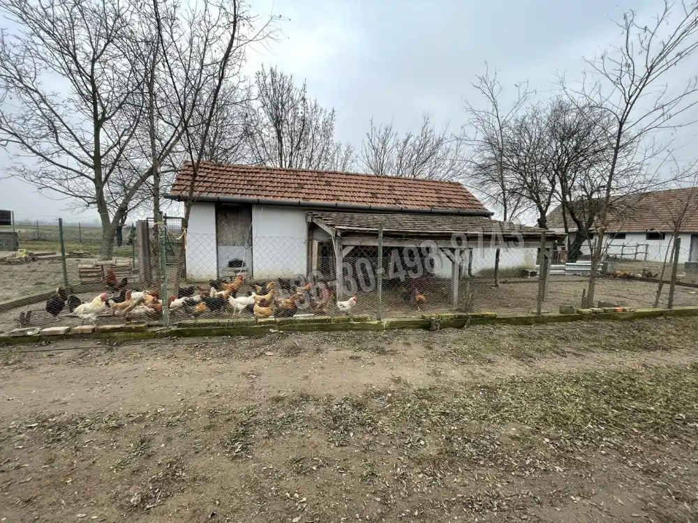 Pest megye - Alsónémedi