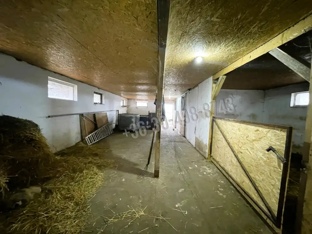 Pest megye - Alsónémedi