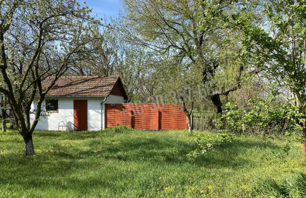 Csongrád megye - Balástya