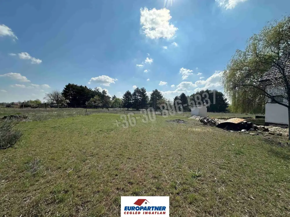 Pest megye - Cegléd