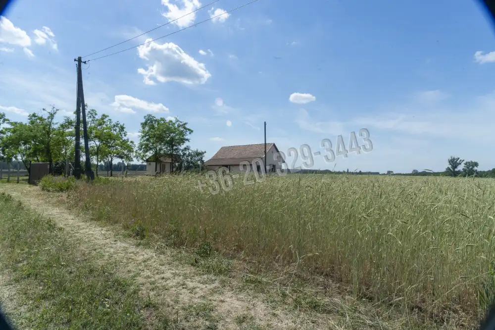 Pest megye - Csemő