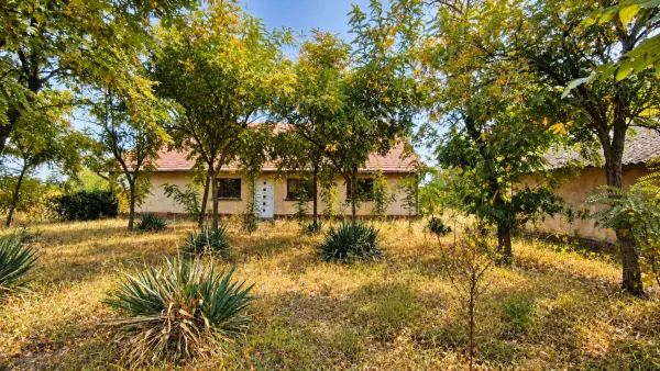 Eladó tanya, Csengele 2 szoba 40 m² 7 M Ft