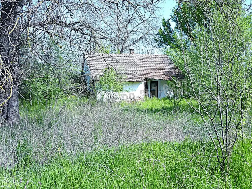 Csongrád megye - Dóc