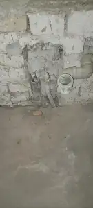 Csongrád megye - Domaszék