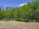 Bács-Kiskun megye - Felsőlajos