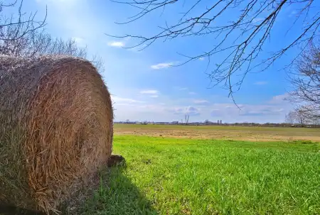 Eladó tanya, Forráskút 3 szoba 85 m² 26.9 M Ft