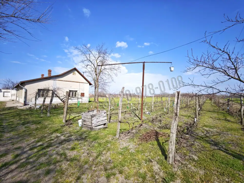 Csongrád megye - Forráskút