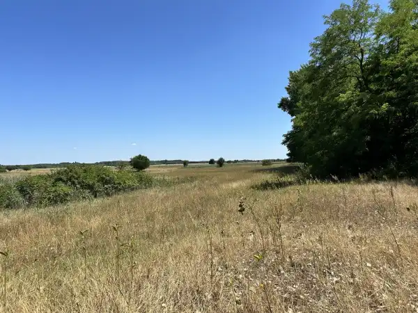 Eladó tanya, Fülöpháza 5.5 M Ft
