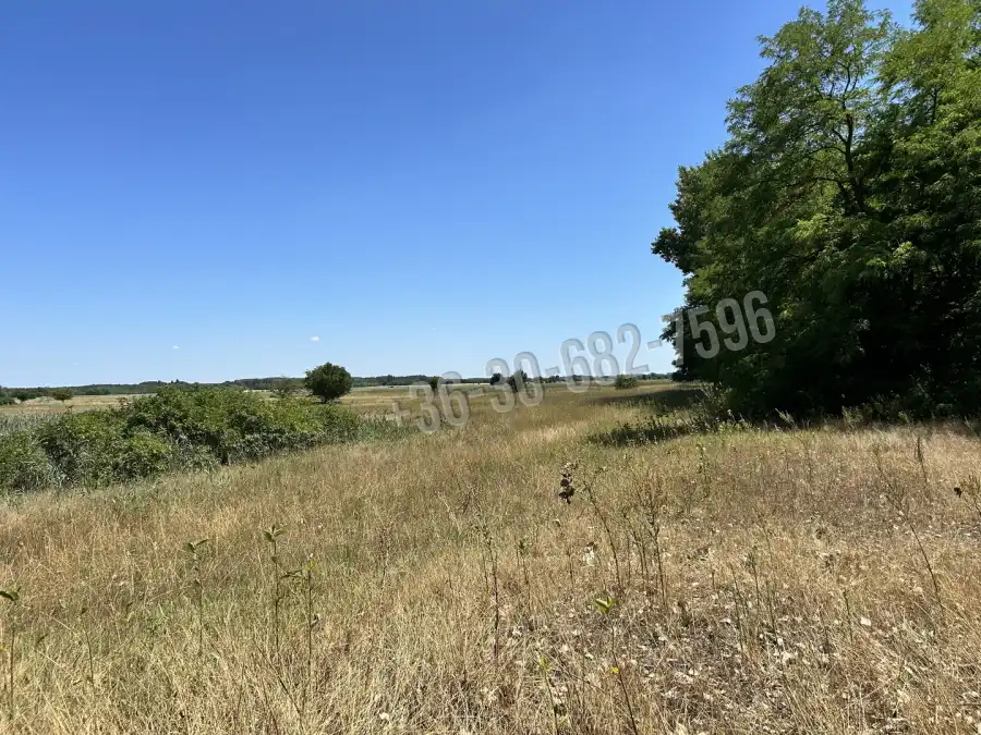 eladó tanya, Fülöpháza