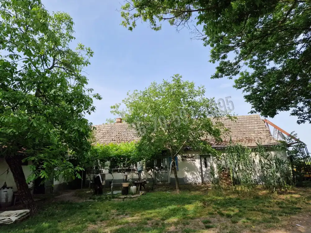 Bács-Kiskun megye - Kiskőrös