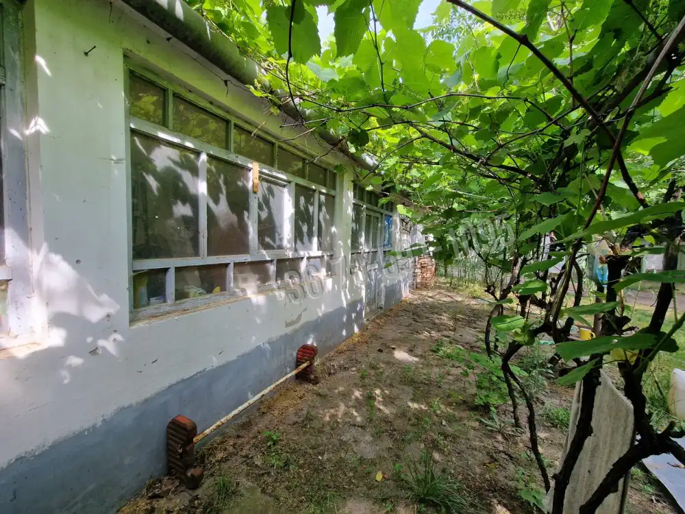 Bács-Kiskun megye - Kiskőrös